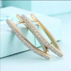 Earrings  new in the bag